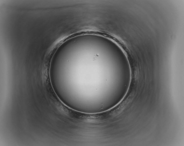 X0000112721359200908271358