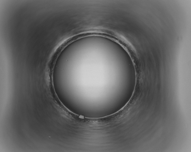 X0000112721360200908271358