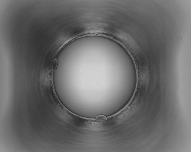 X0000112721361200908271358