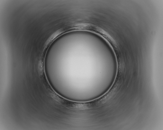 X0000112721362200908271358