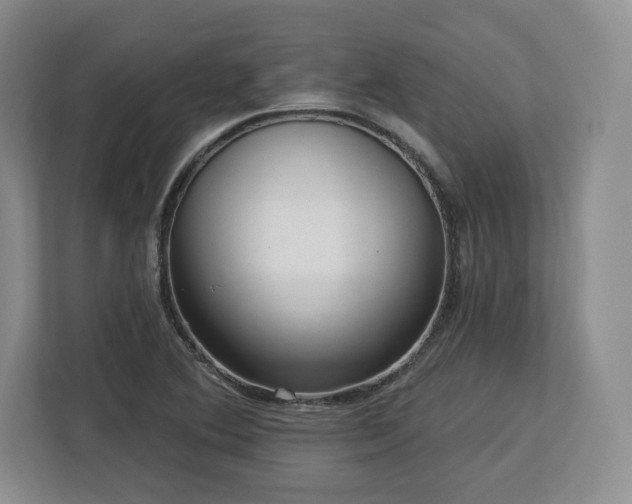 X0000112721364200908271358