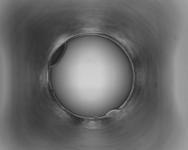 X0000112721365200908271358