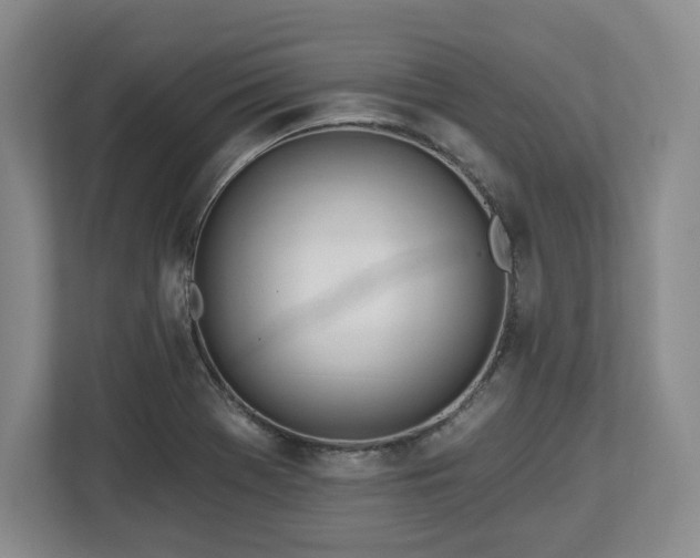 X0000112721369200908271358