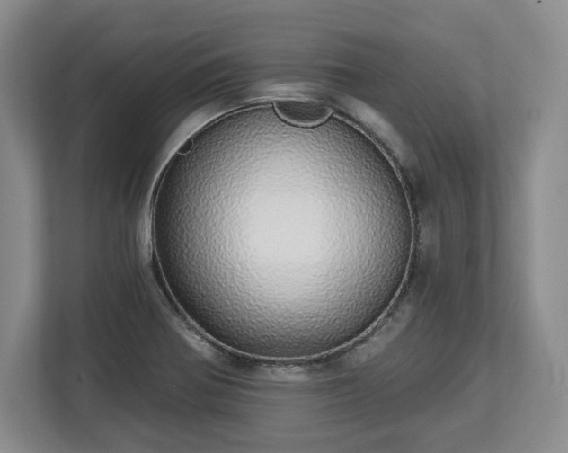 X0000112721370200908271358