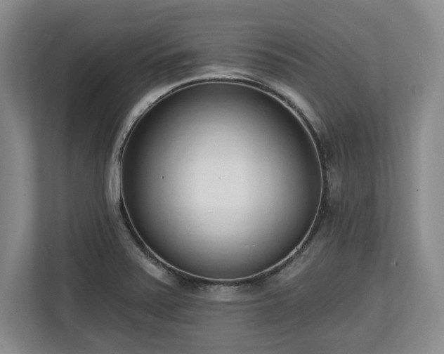 X0000112721371200908271358