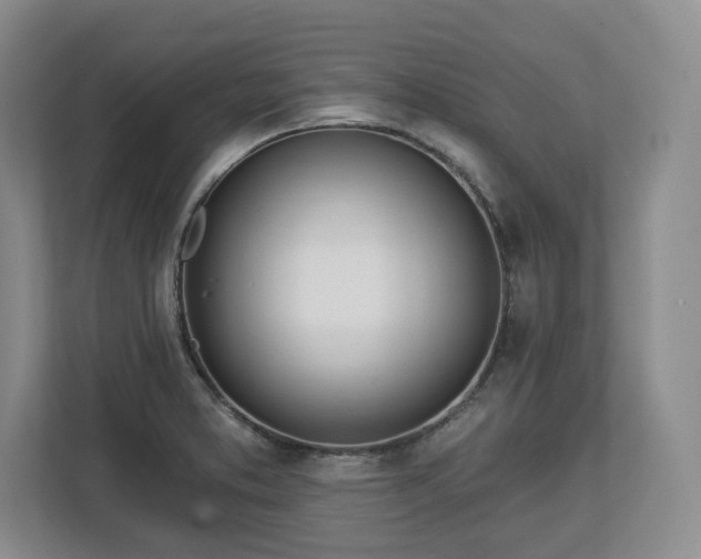 X0000112721373200908271358