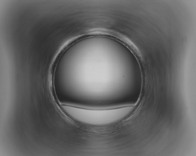 X0000112721376200908271358