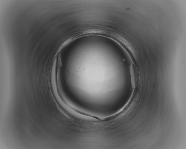 X0000112721377200908271358