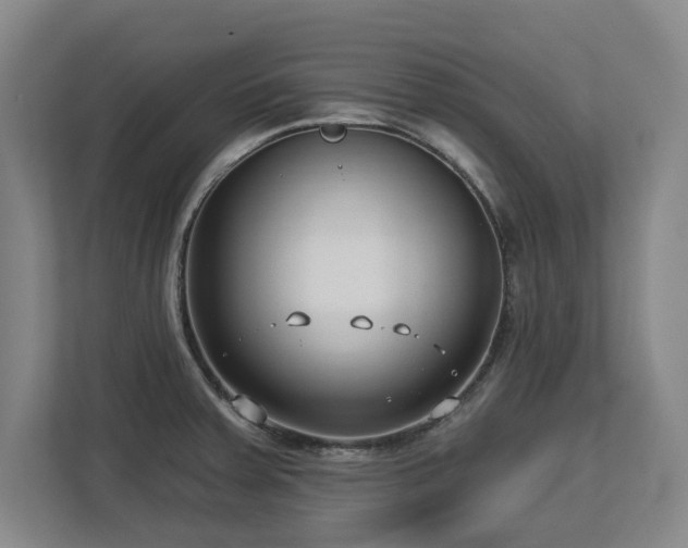 X0000112721379200908271358