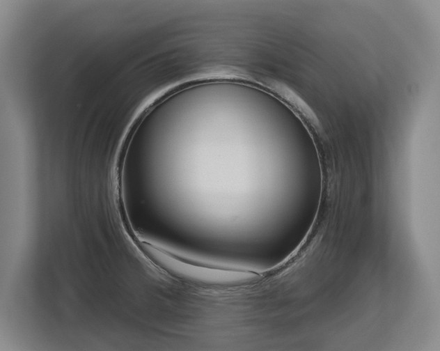 X0000112721380200908271358