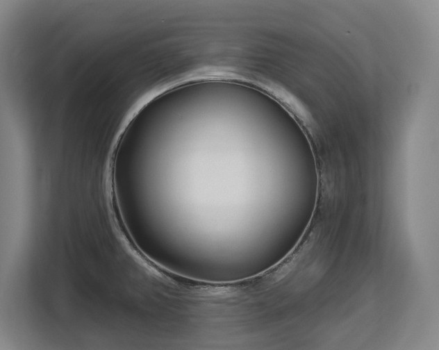 X0000112721382200908271358