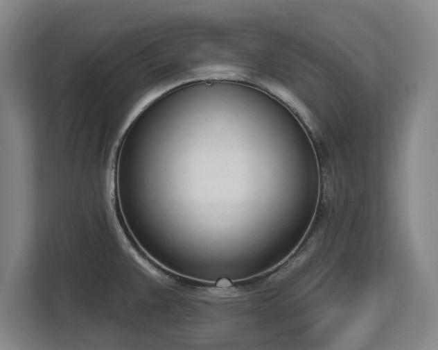 X0000112721383200908271358