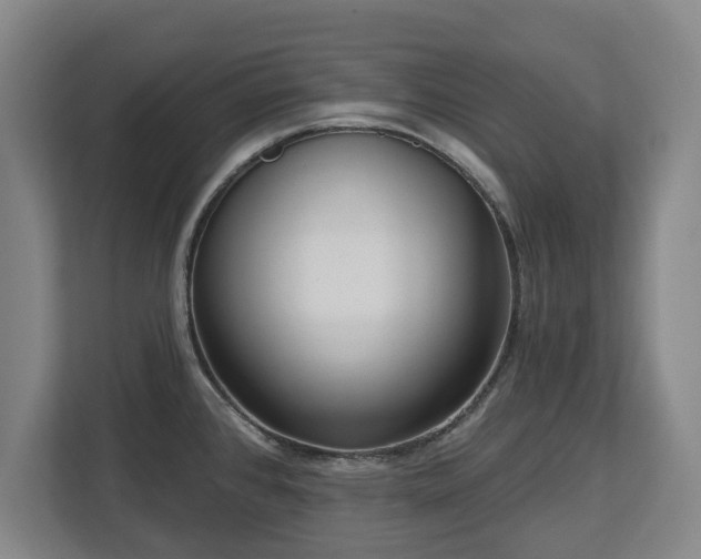 X0000112721384200908271358