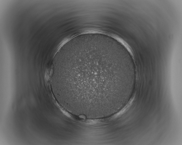 X0000112721385200908271358