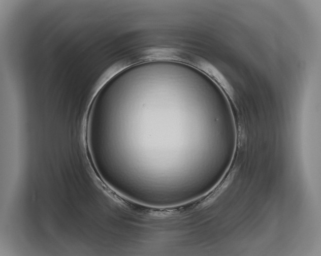 X0000112721386200908271358