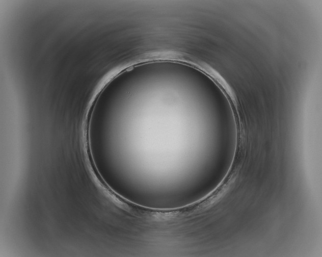 X0000112721389200908271358