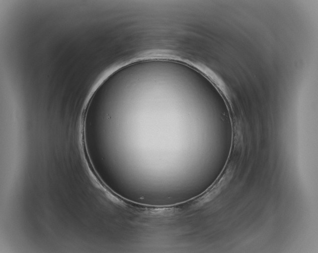 X0000112721390200908271358