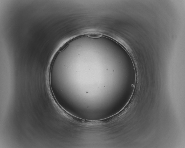 X0000112721392200908271358