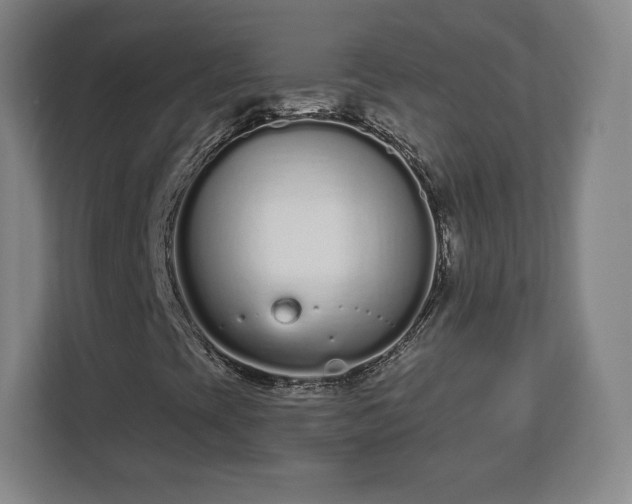 X0000112721393200908271357