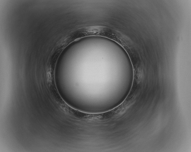 X0000112721394200908271357