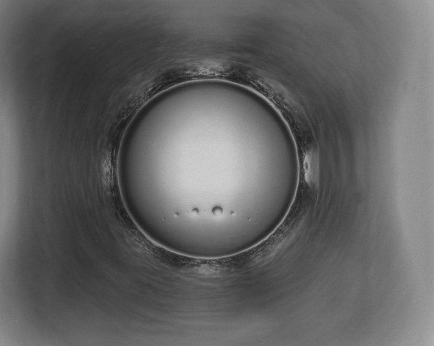 X0000112721395200908271357