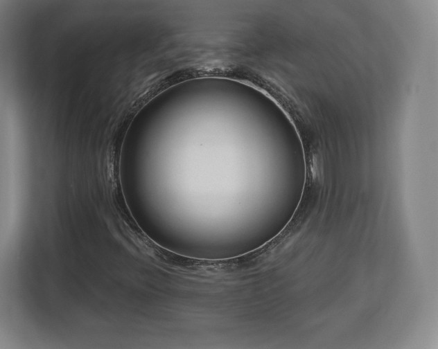 X0000112721396200908271357