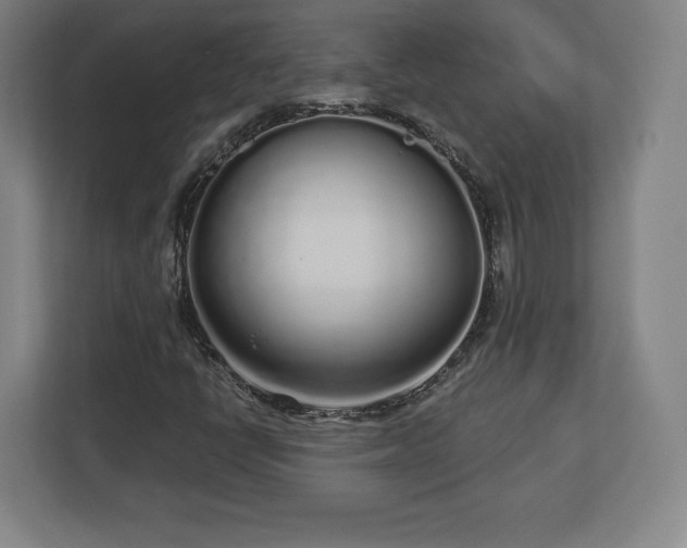 X0000112721398200908271357