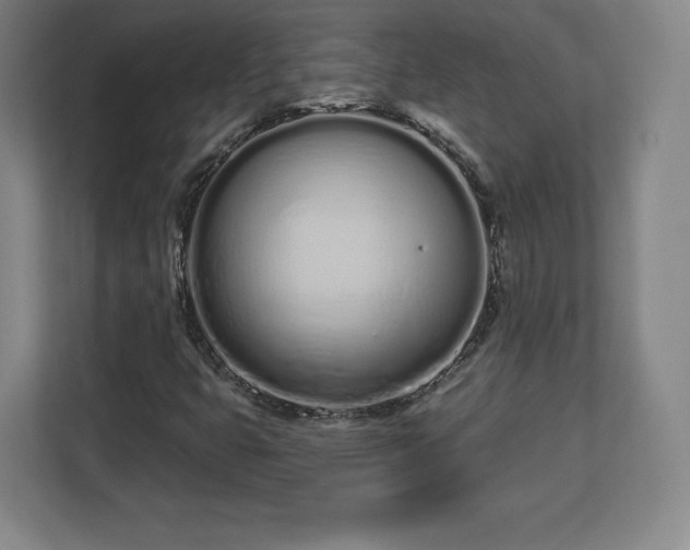 X0000112721399200908271357