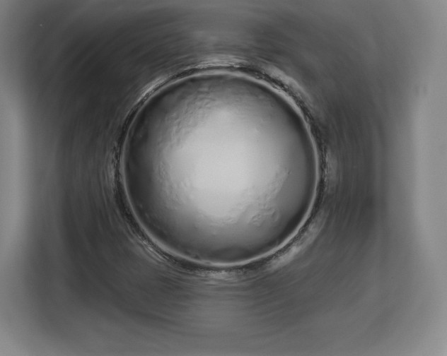 X0000112721401200908271357