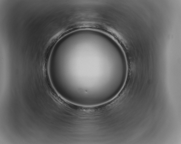 X0000112721403200908271357