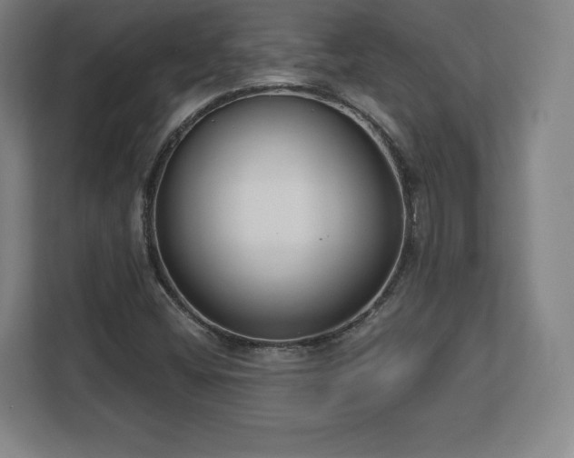 X0000112721404200908271357