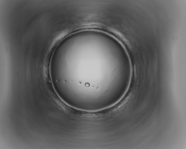 X0000112721405200908271357