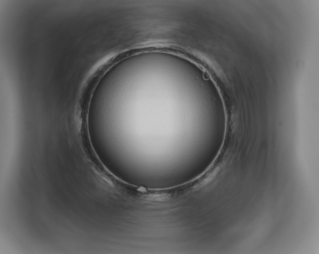 X0000112721406200908271357