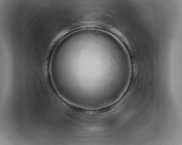 X0000112721411200908271357