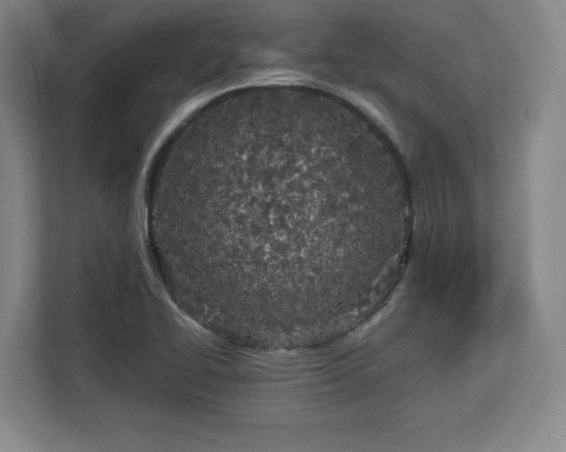 X0000112721414200908271357