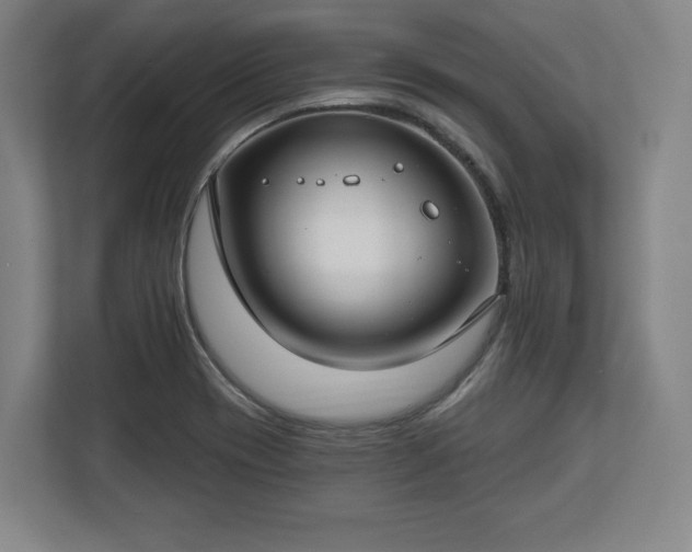 X0000112721417200908271357