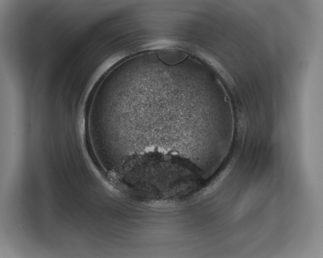 X0000112721418200908271357