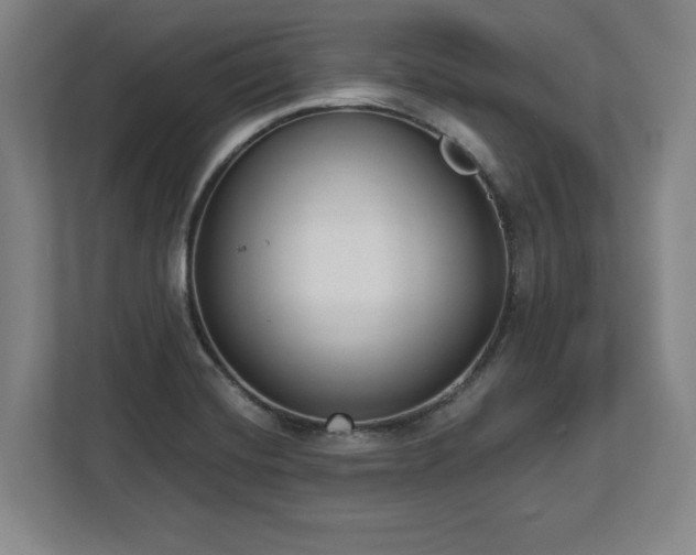 X0000112721420200908271357