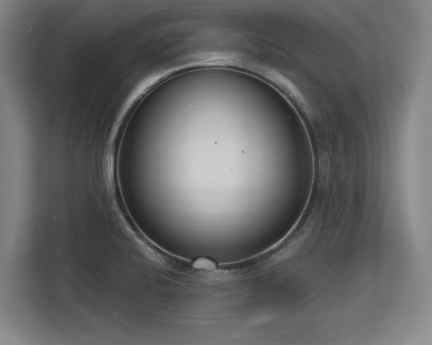 X0000112721424200908271357