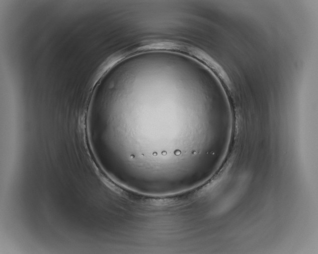 X0000112721425200908271357