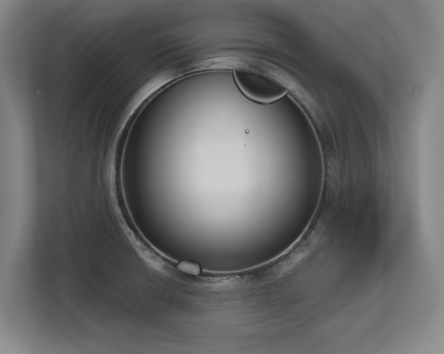 X0000112721426200908271357