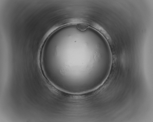 X0000112721427200908271357