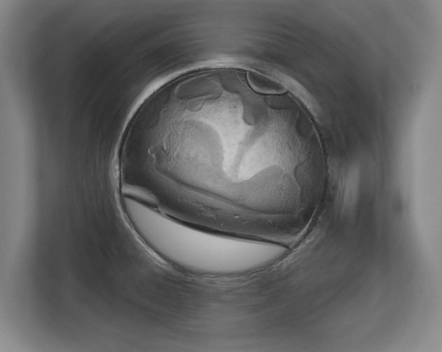 X0000112721428200908271357