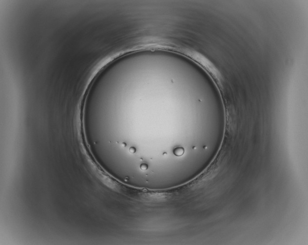 X0000112721431200908271357