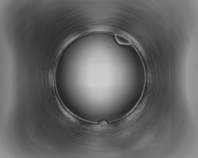 X0000112721433200908271357