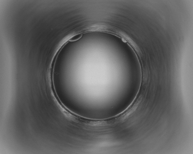 X0000112721434200908271357