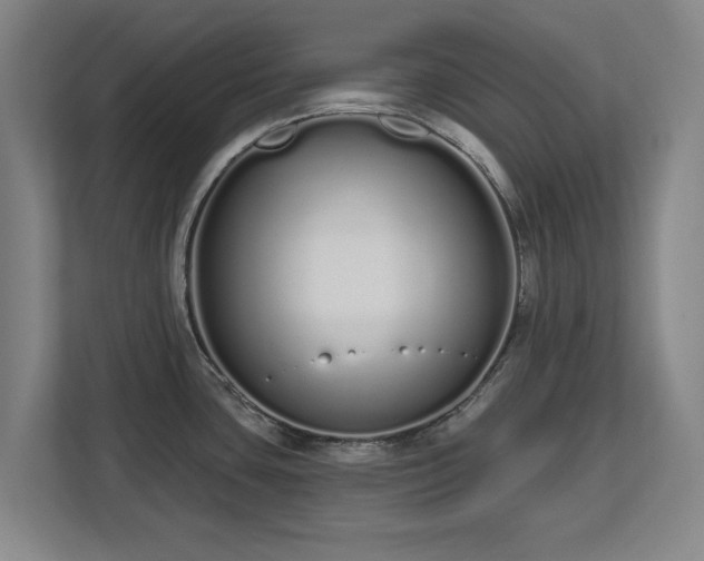 X0000112721435200908271357