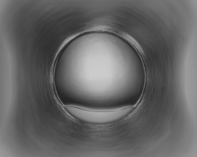 X0000112721436200908271357