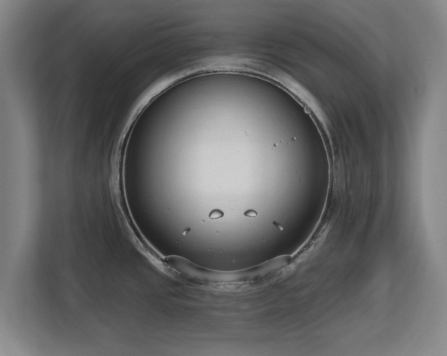 X0000112721437200908271358