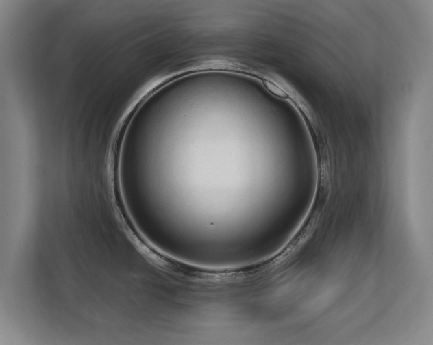 X0000112721438200908271358